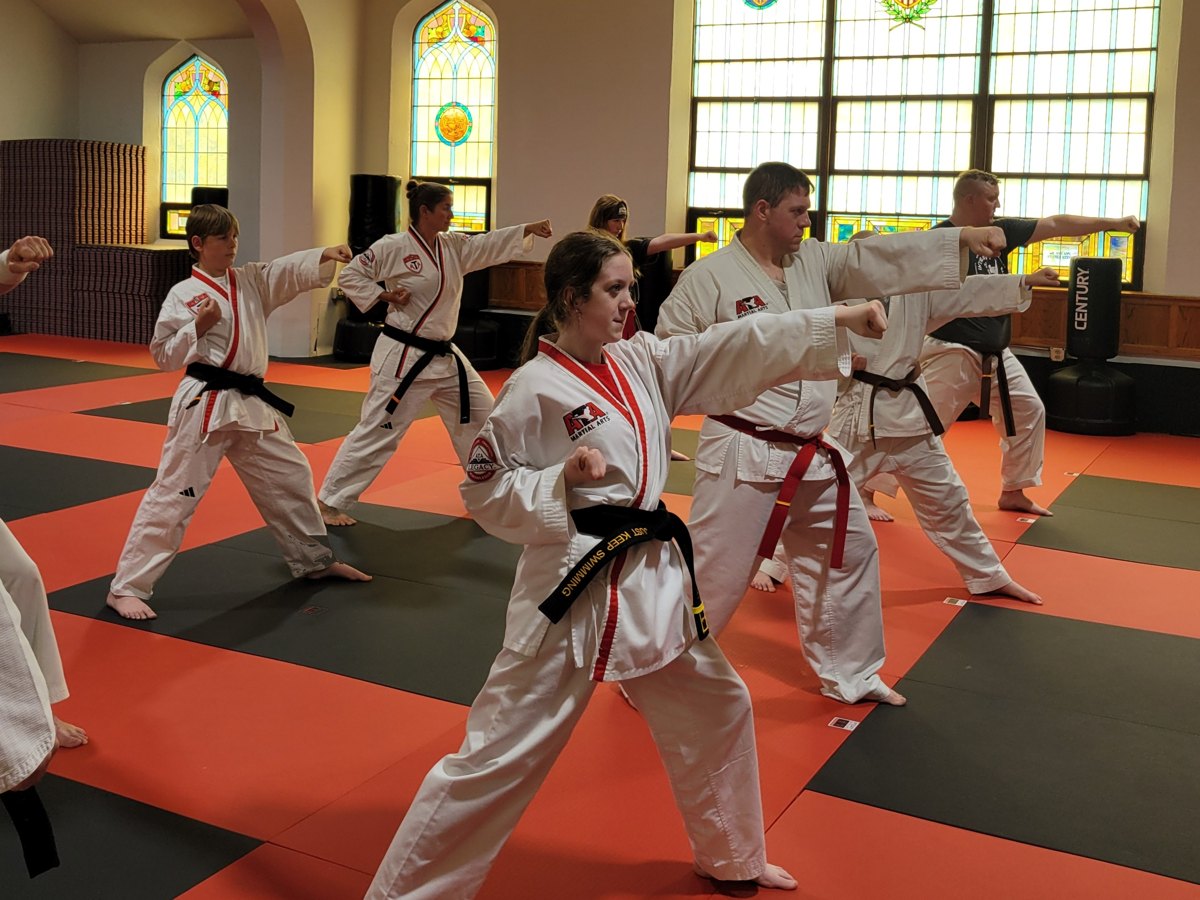 Adult students training together in class at Integrity Martial Arts — Rock County WI